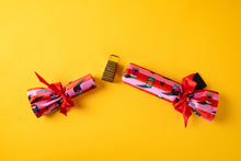 Load image into Gallery viewer, Reusable Crackers | Food for Thought